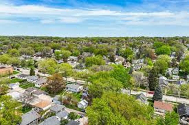 Picture of Columbia Heights neighborhood with green scenery